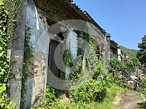 An old village called Sam A Tsuenä¸‰æ¤æ‘